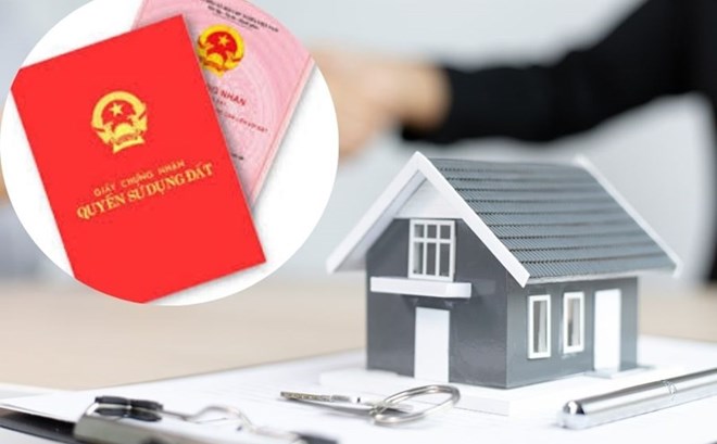 Ham rẻ mua đất nền không sổ đỏ: Cái giá có thể là mất trắng